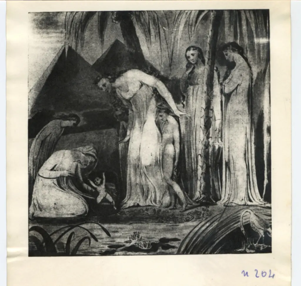 Anonimo, Anonimo , fronte