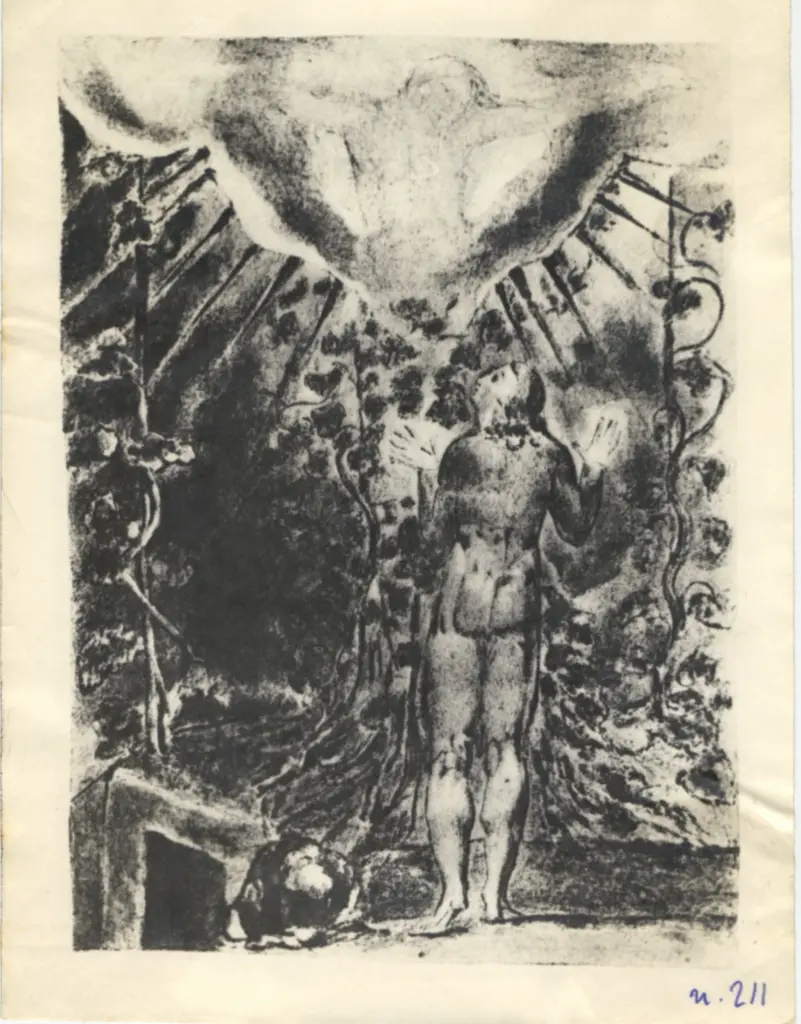 Anonimo, Anonimo , fronte