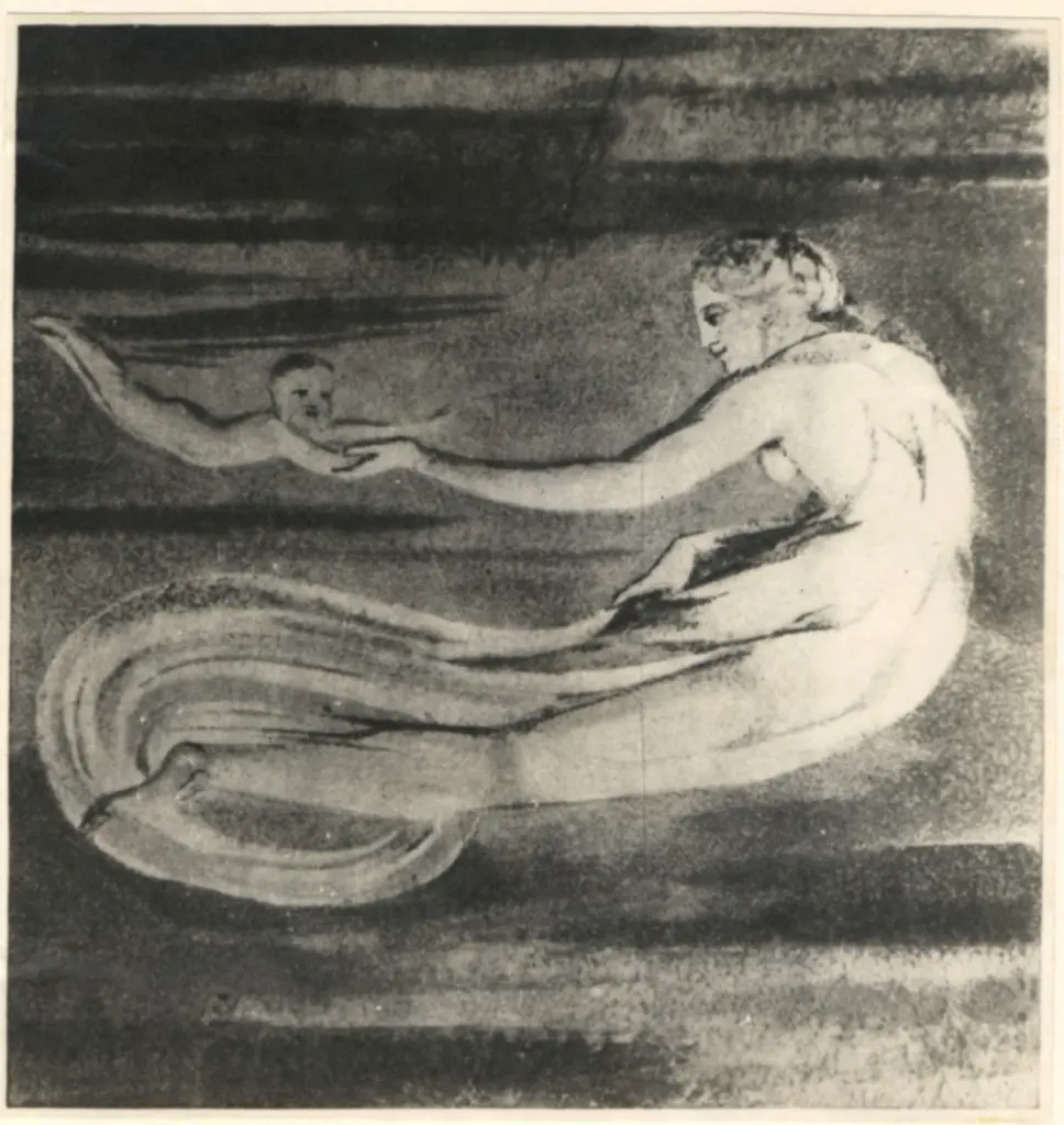 Anonimo, Anonimo , fronte