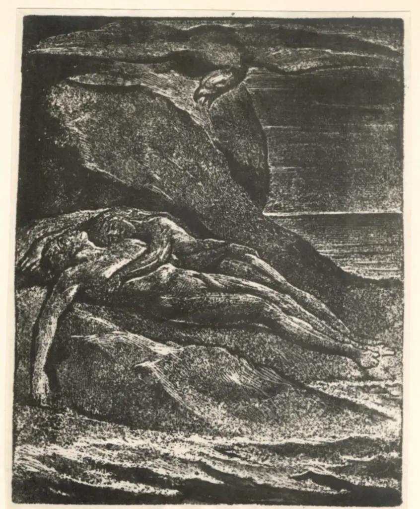 Anonimo, Anonimo , fronte