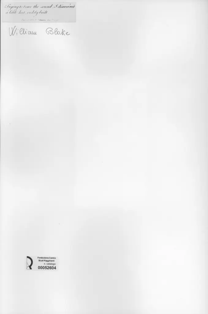 Anonimo, Anonimo , retro