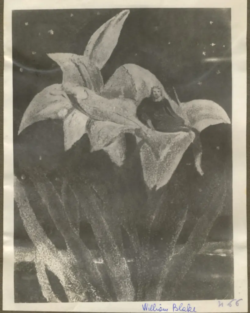 Anonimo , Blake, William , fronte