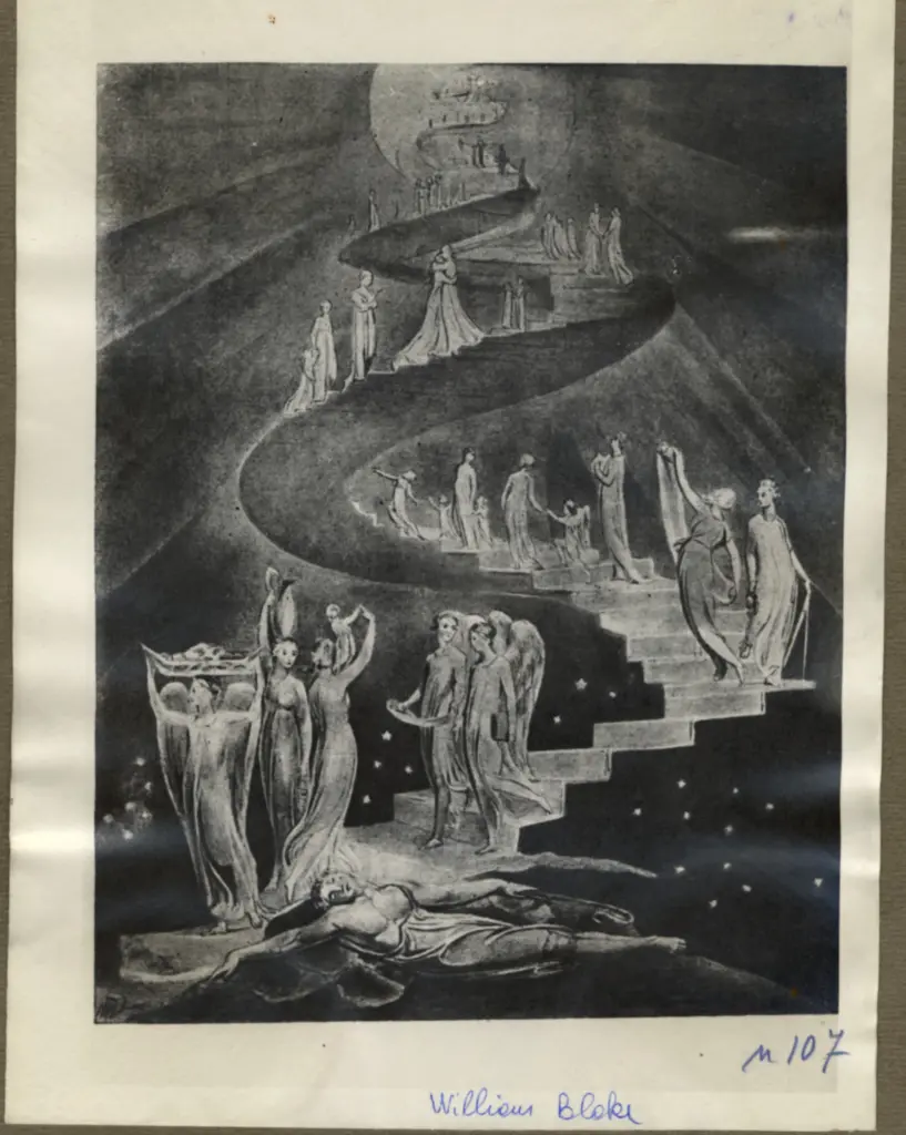 Anonimo, Anonimo , fronte