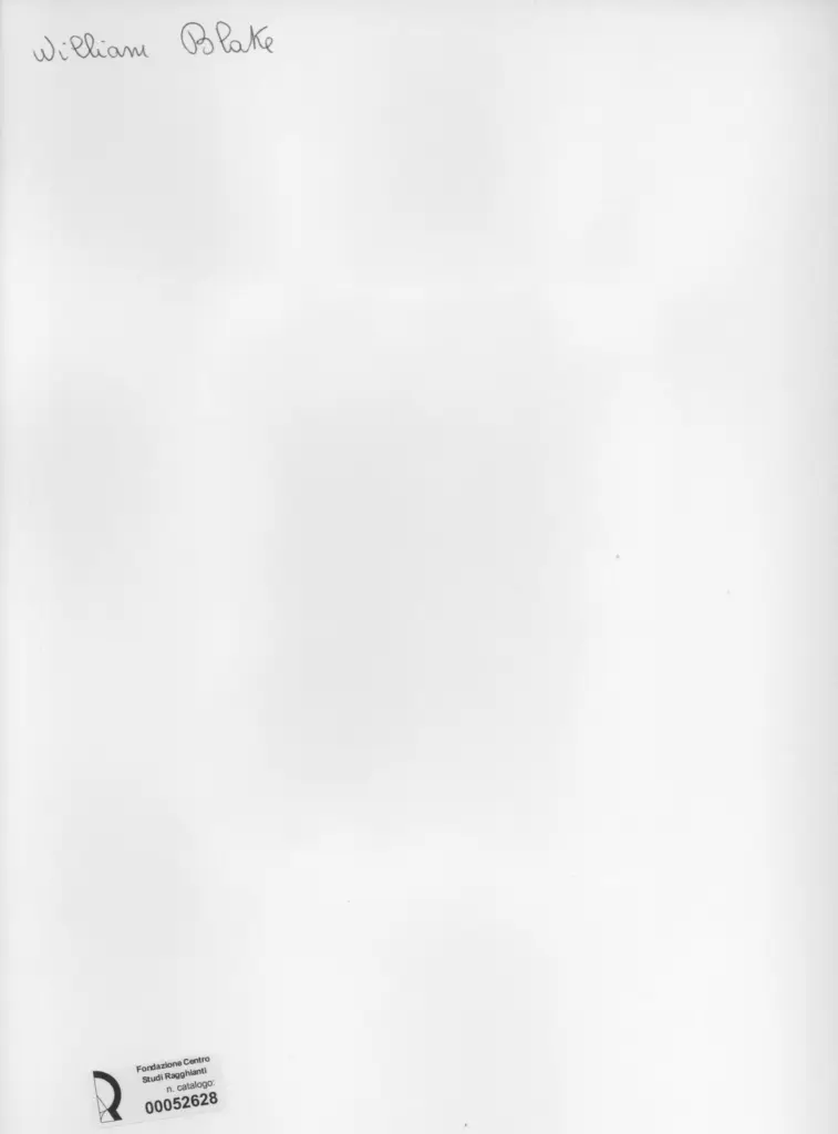 Anonimo, Anonimo , retro