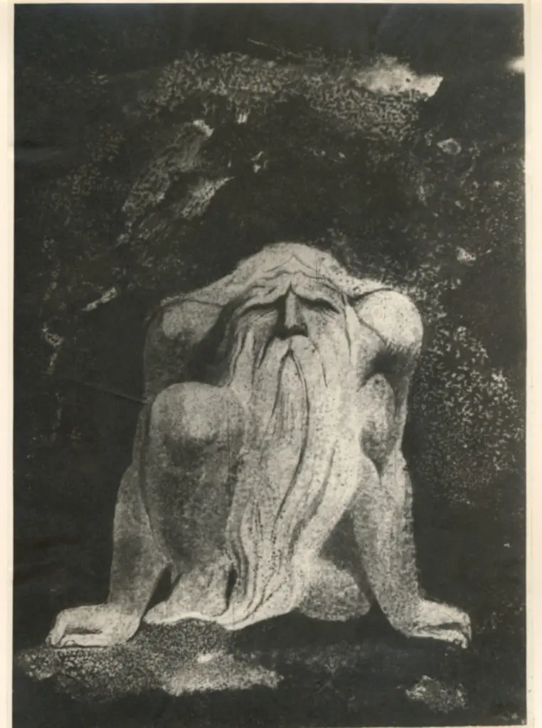 Anonimo, Anonimo , fronte