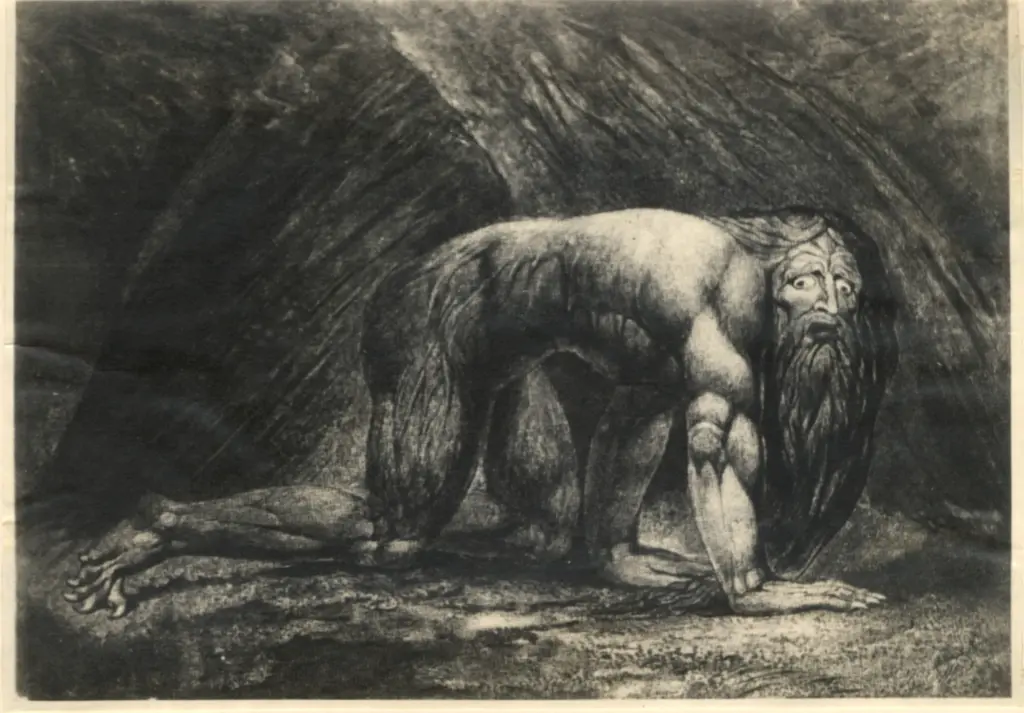 Anonimo, Anonimo , fronte