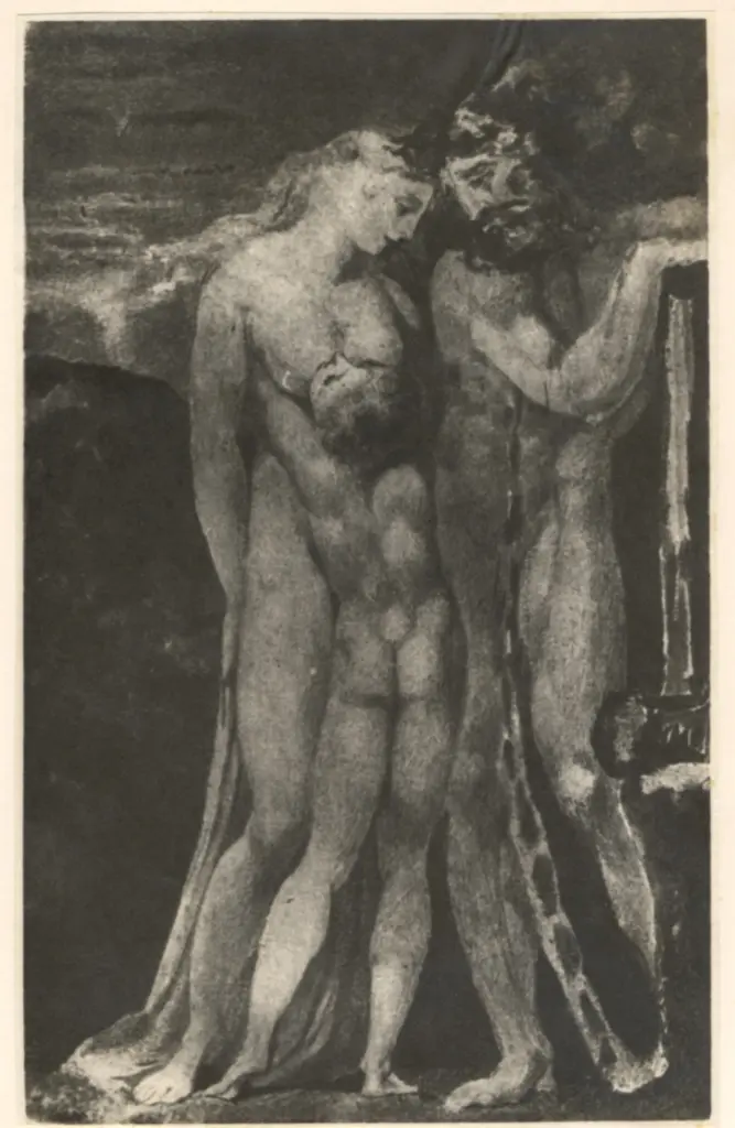 Anonimo, Anonimo , fronte