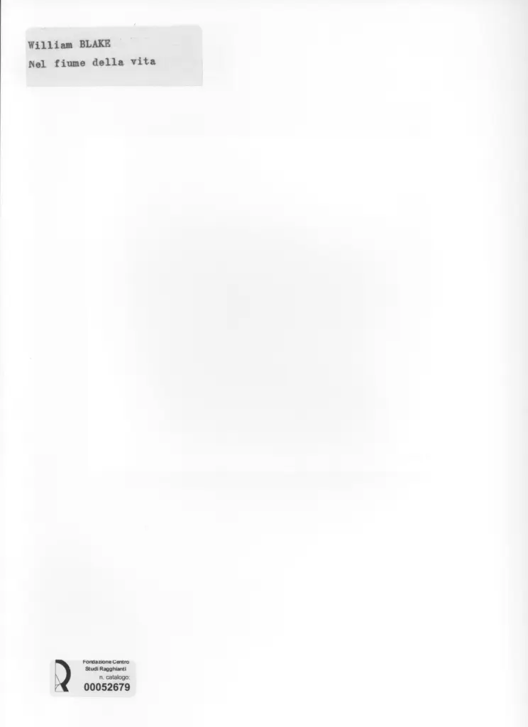 Anonimo, Anonimo , retro