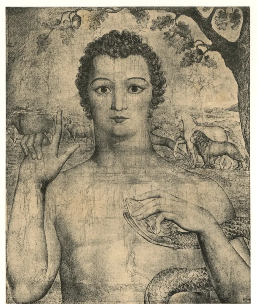 Anonimo, Anonimo , fronte