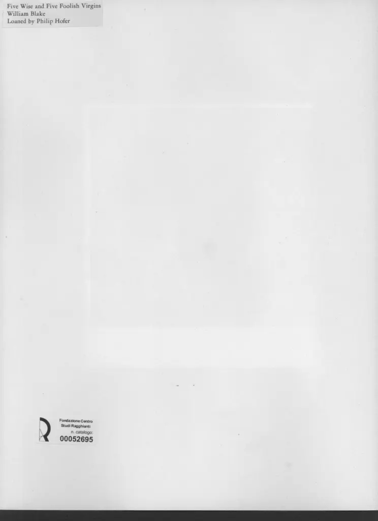 Anonimo, Anonimo , retro