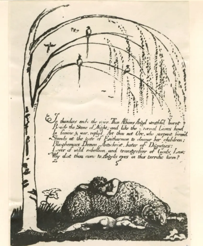 Anonimo, Anonimo , fronte