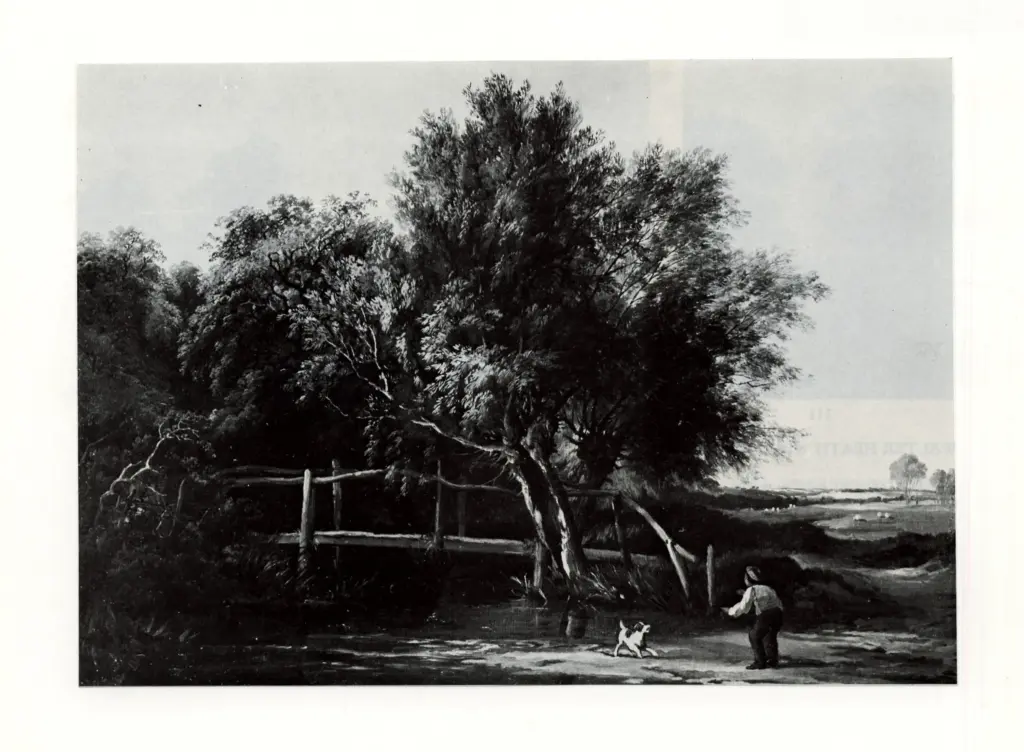 Anonimo, Anonimo , fronte