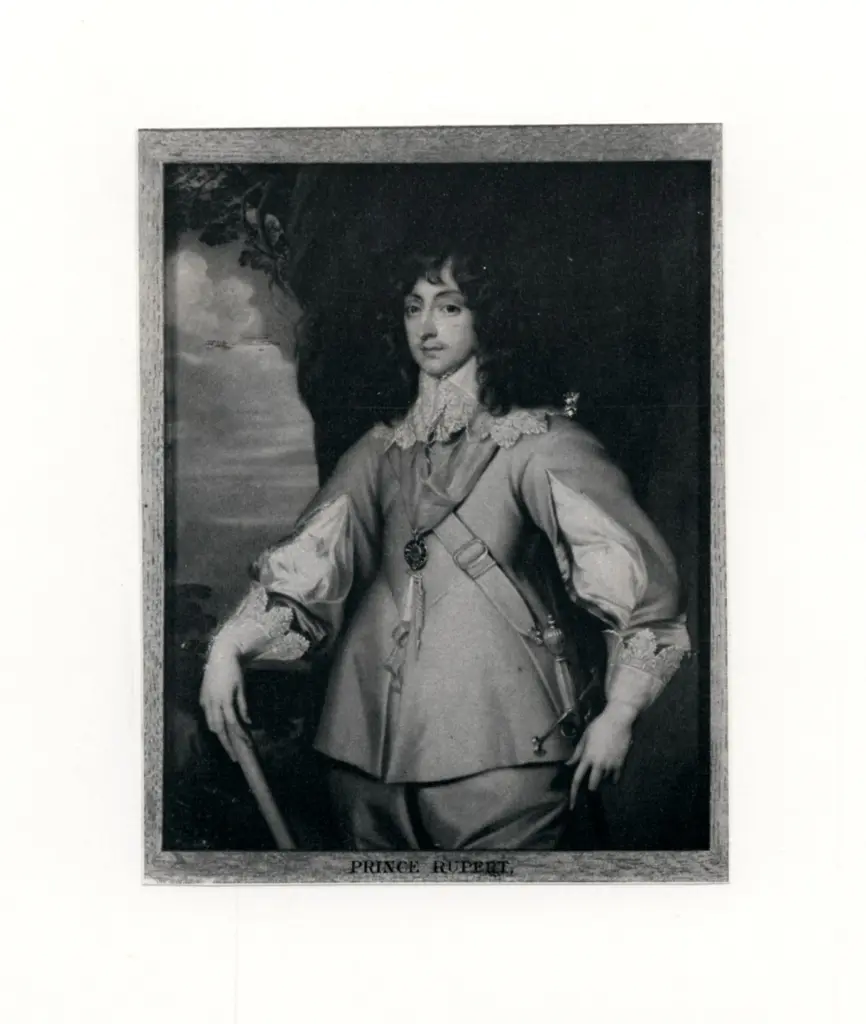 Anonimo, Anonimo , fronte