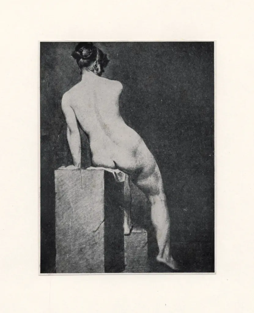 Anonimo, Anonimo , fronte