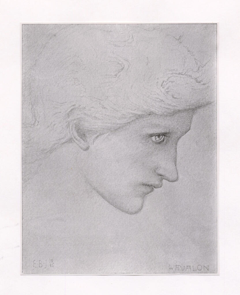 fronte