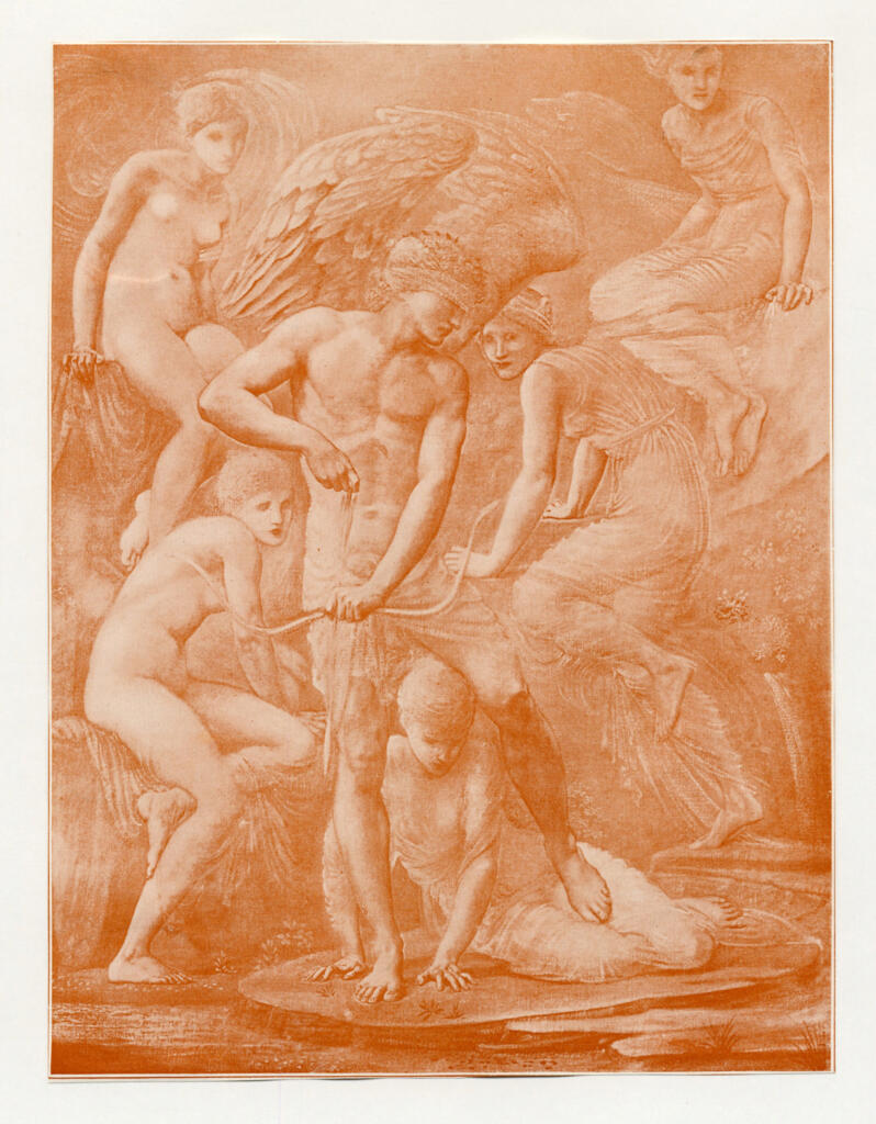 fronte
