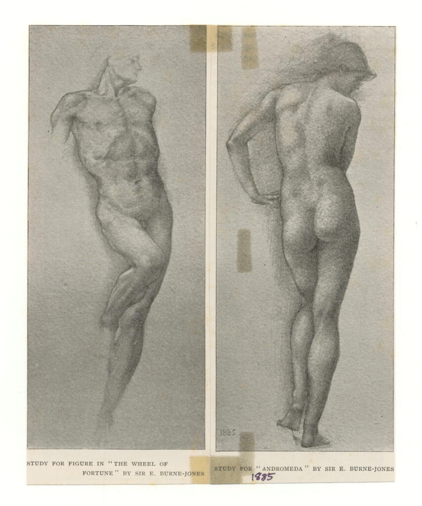 fronte