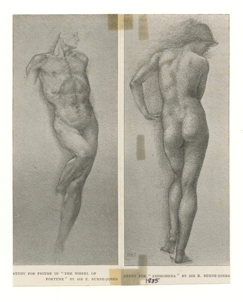 fronte