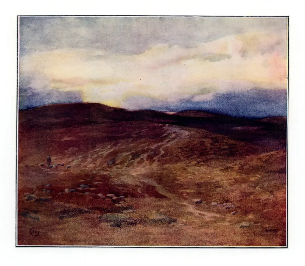 Cadenhead, James , La mattina presto