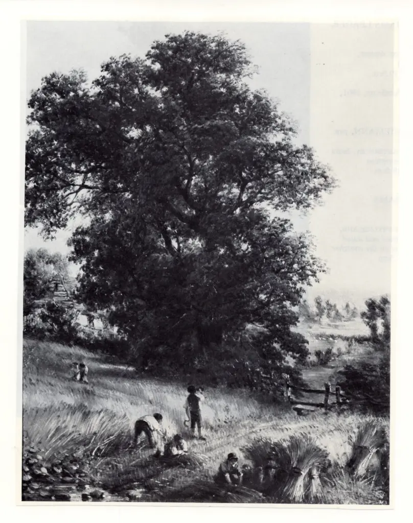 Wallor Caffyn, Walter , Tempo di raccolta -