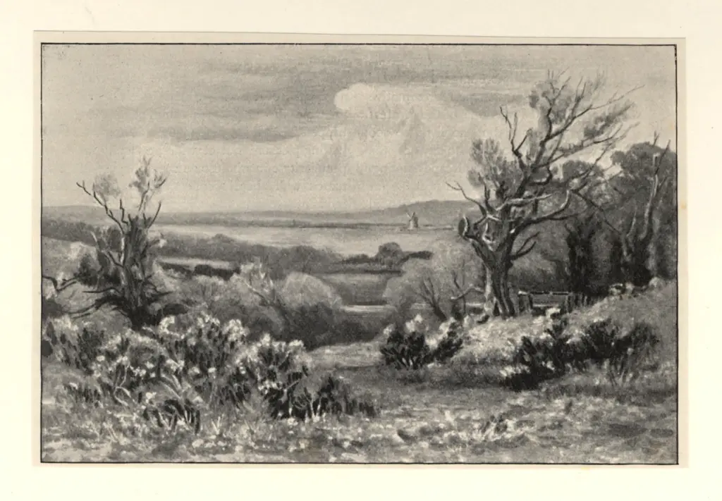 Chester, George , Springtime, Sussex