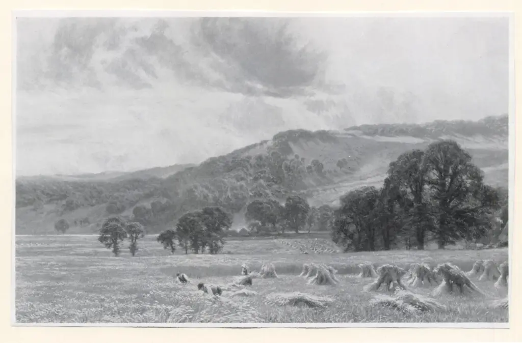 Anonimo , Cole, George Vicat - sec. XIX - Una veduta delle colline e dei boschi di Streately, con mietitori in lontananza , fronte