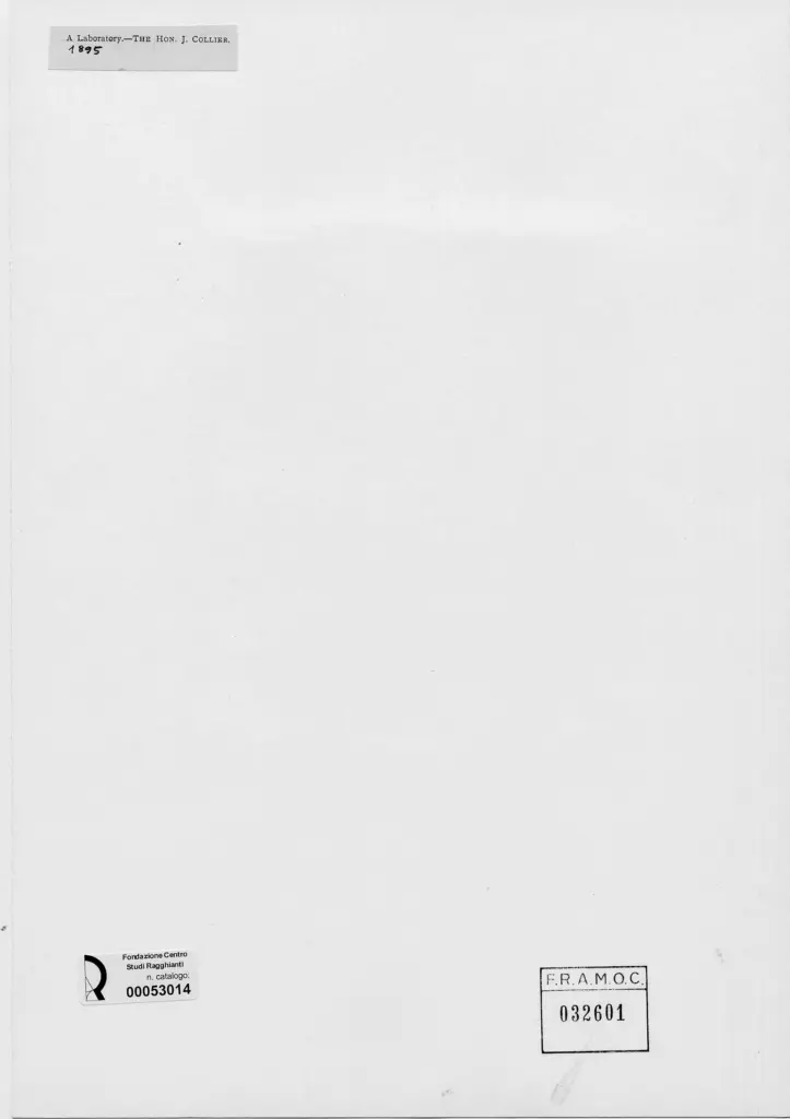 Anonimo, Anonimo , retro