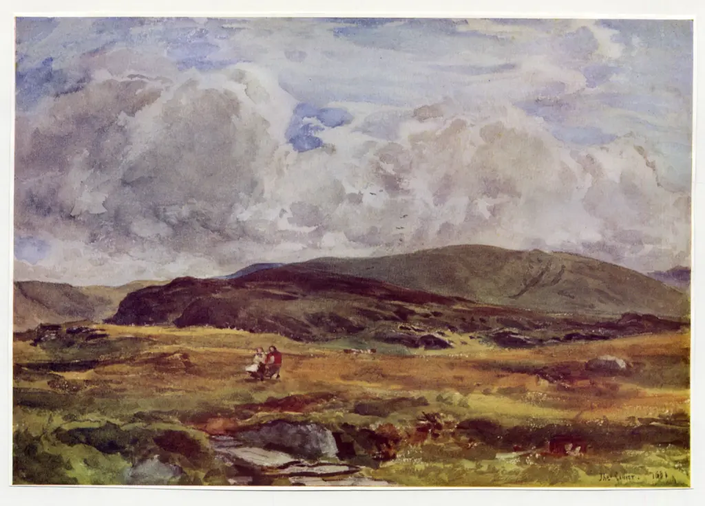 Anonimo , Collier, Thomas - sec. XIX - Un sentiero tra i campi , fronte