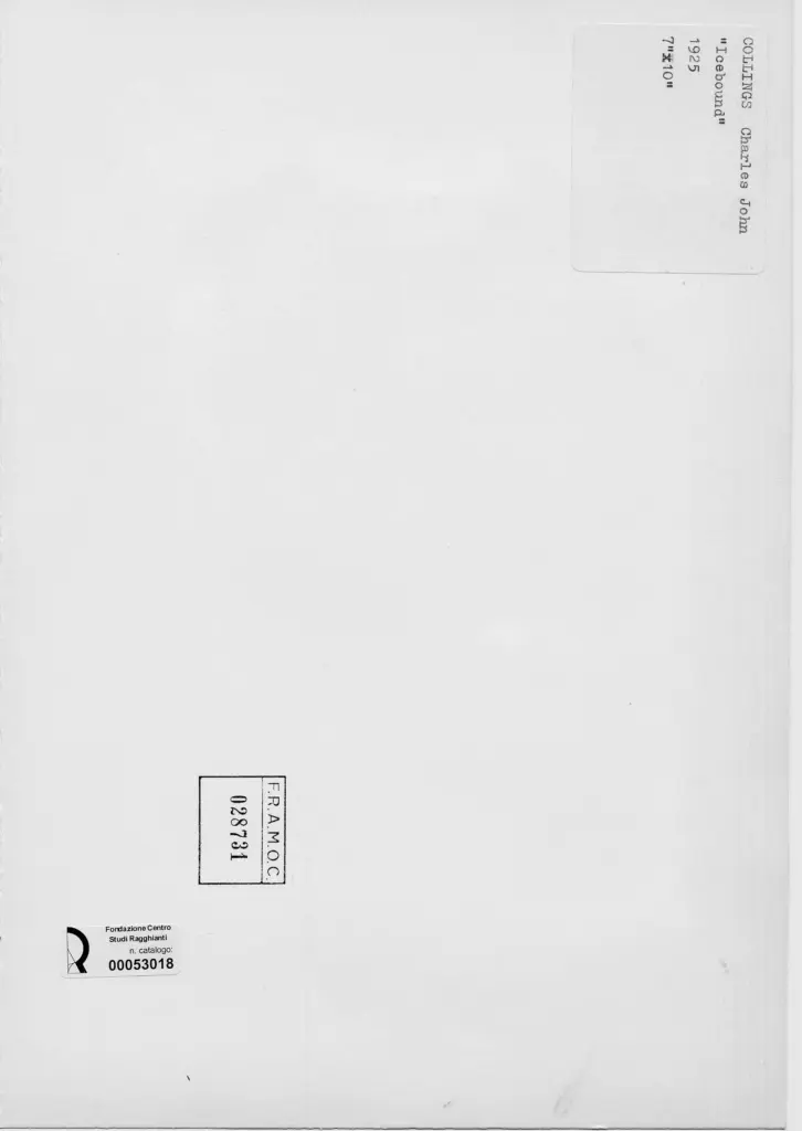 Anonimo, Anonimo , retro