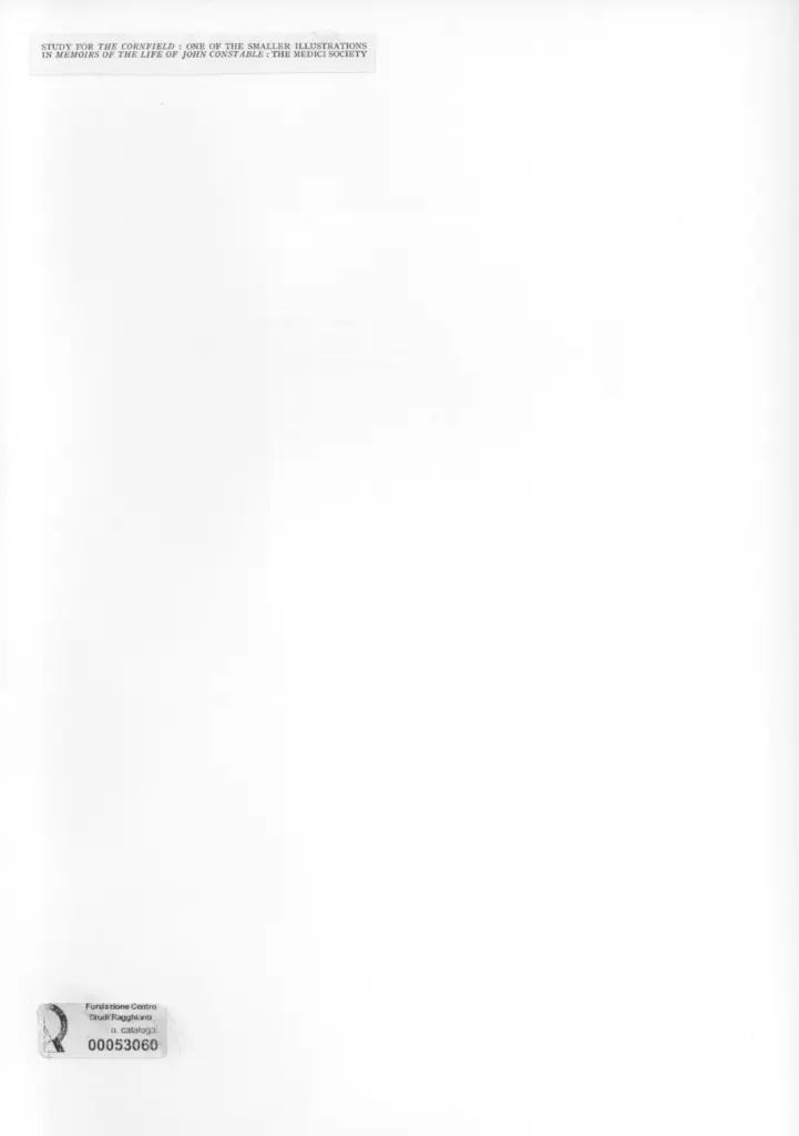 Anonimo, Anonimo , retro