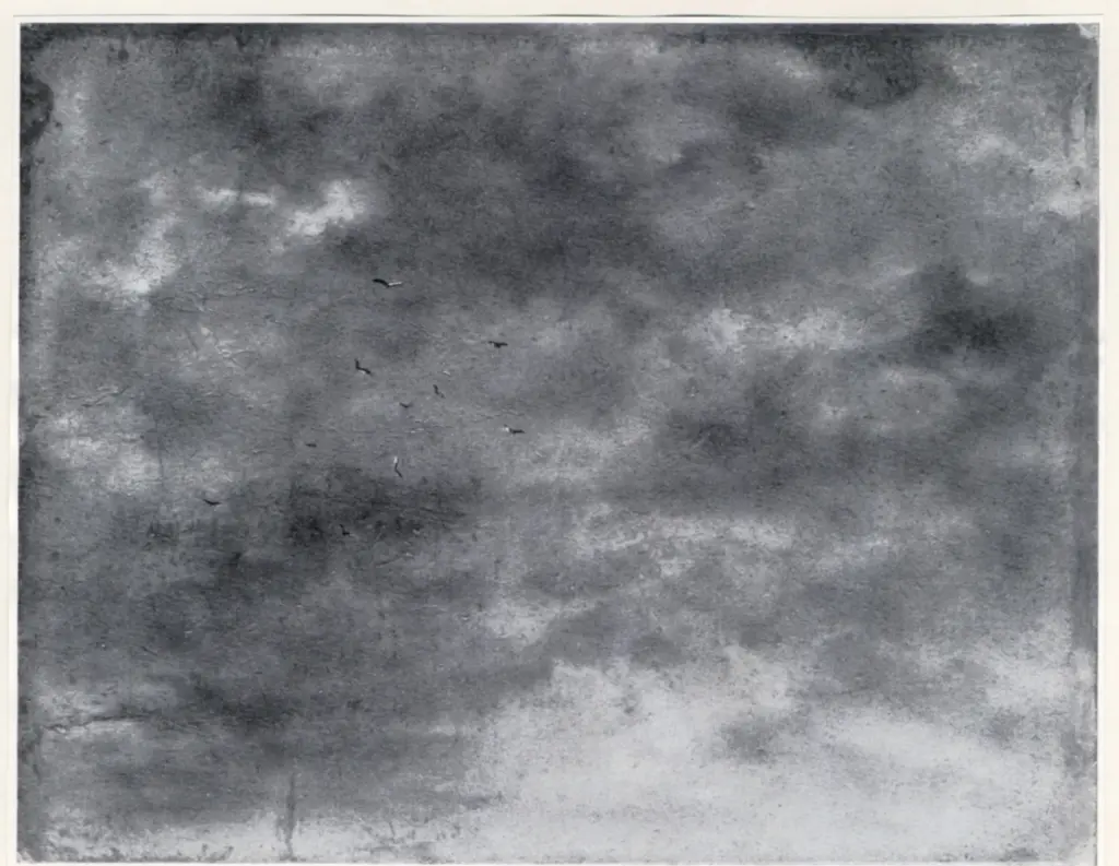 Anonimo, Anonimo , fronte