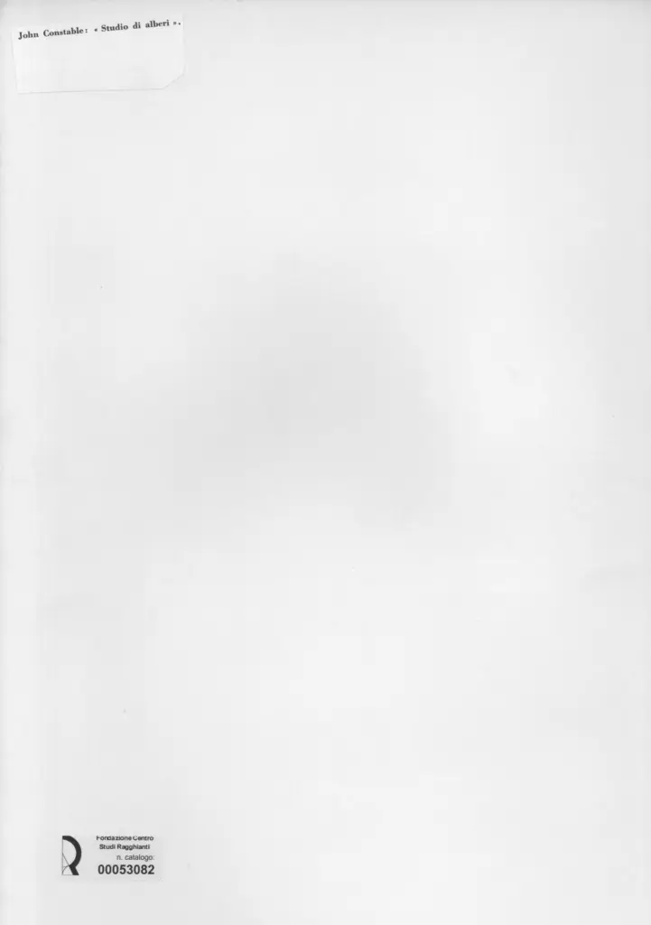 Anonimo, Anonimo , retro