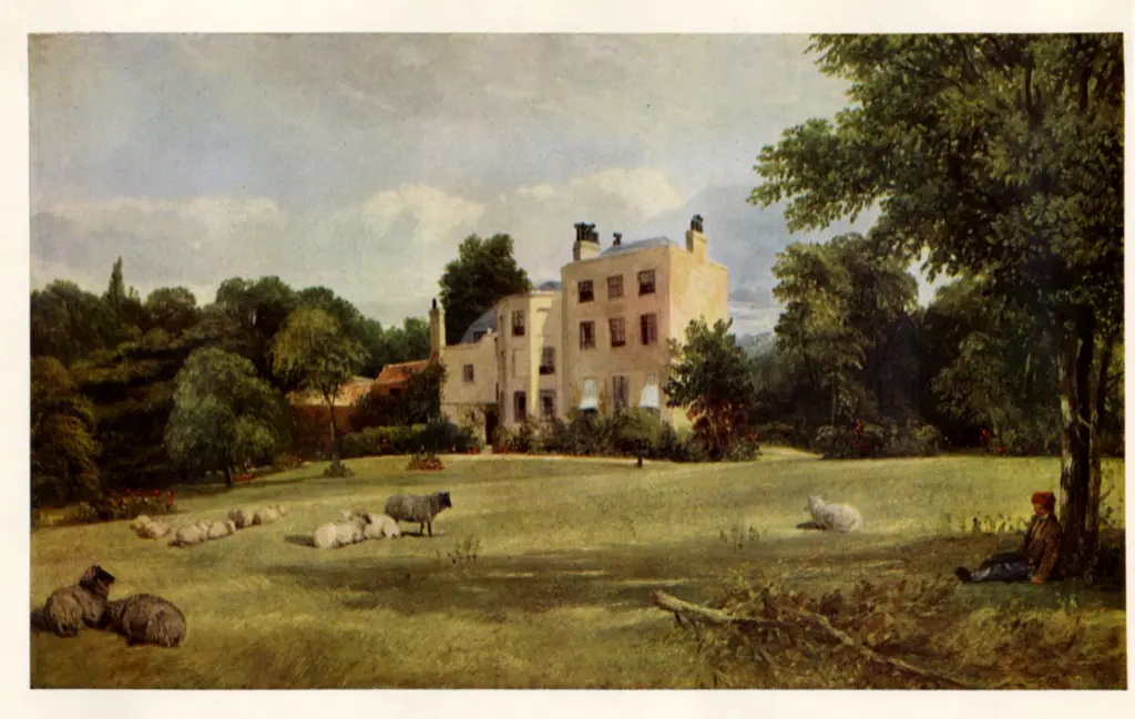 Anonimo, Anonimo , fronte