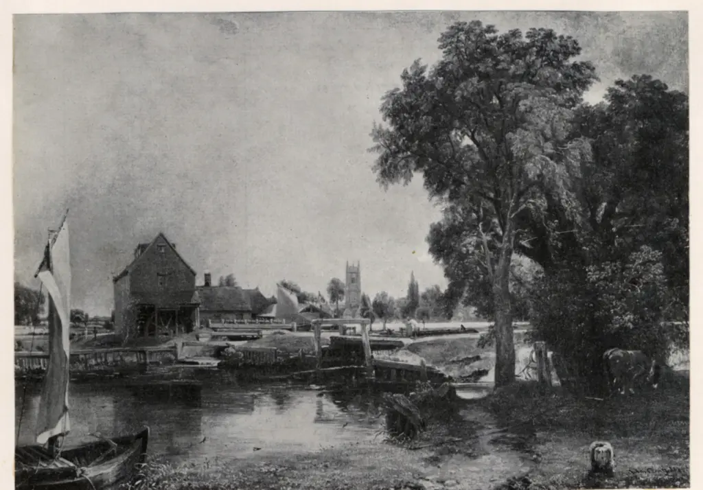 Anonimo, Anonimo , fronte