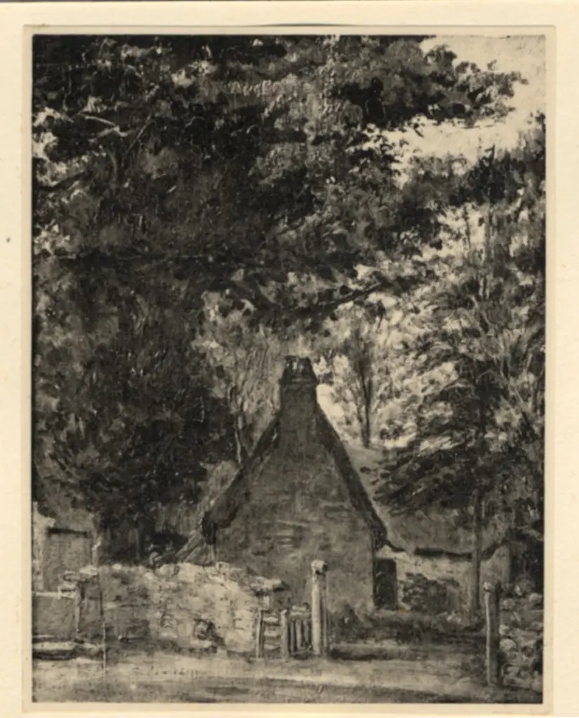 Anonimo, Anonimo , fronte