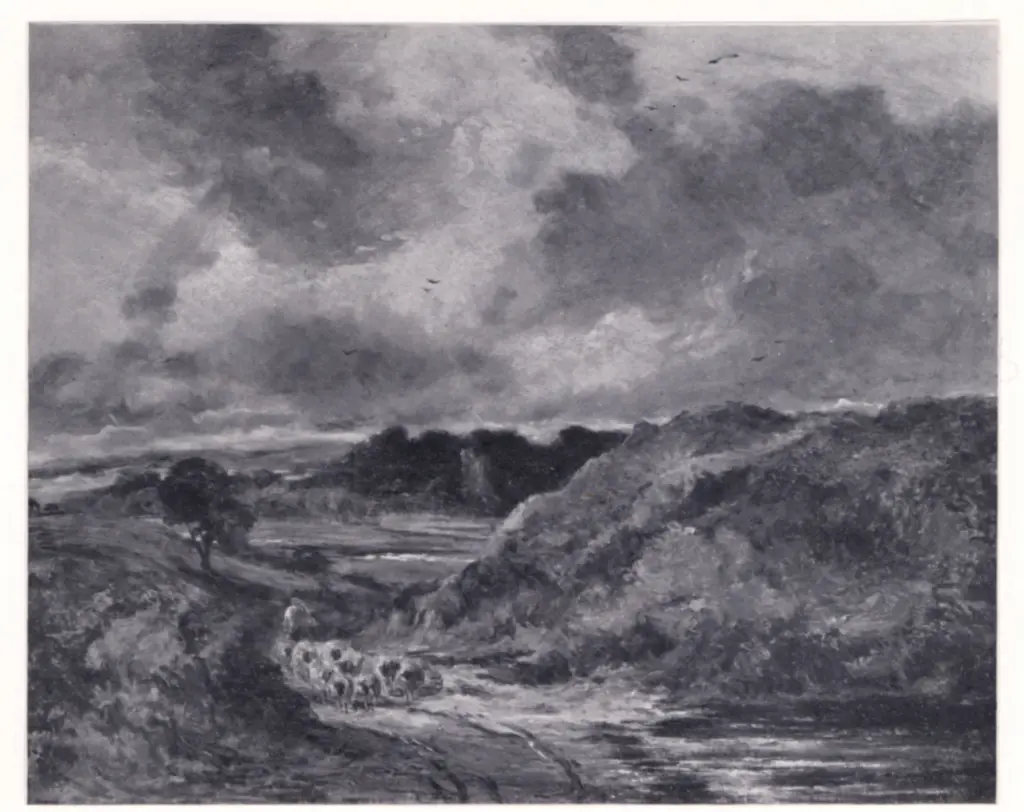 Anonimo, Anonimo , fronte