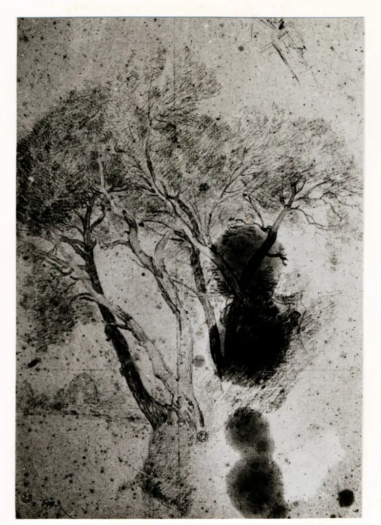 Anonimo, Anonimo , fronte