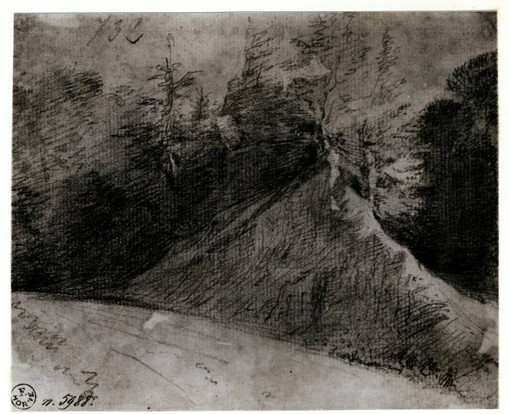 Anonimo , fronte