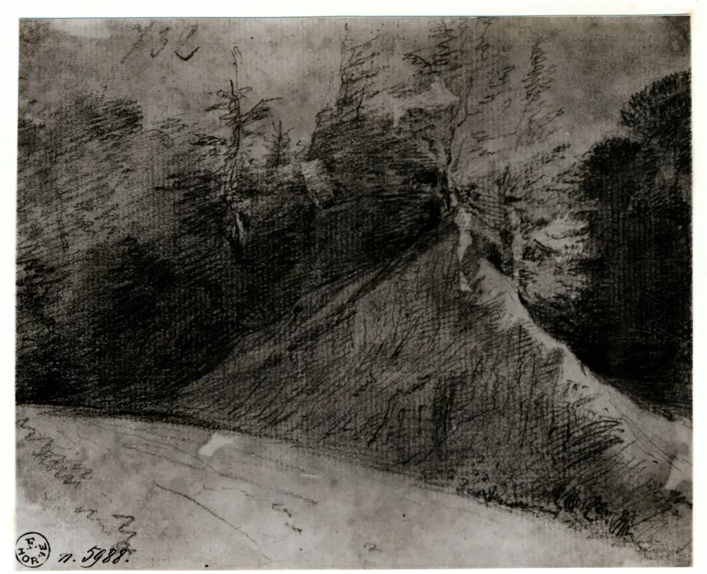 Anonimo, Anonimo , fronte