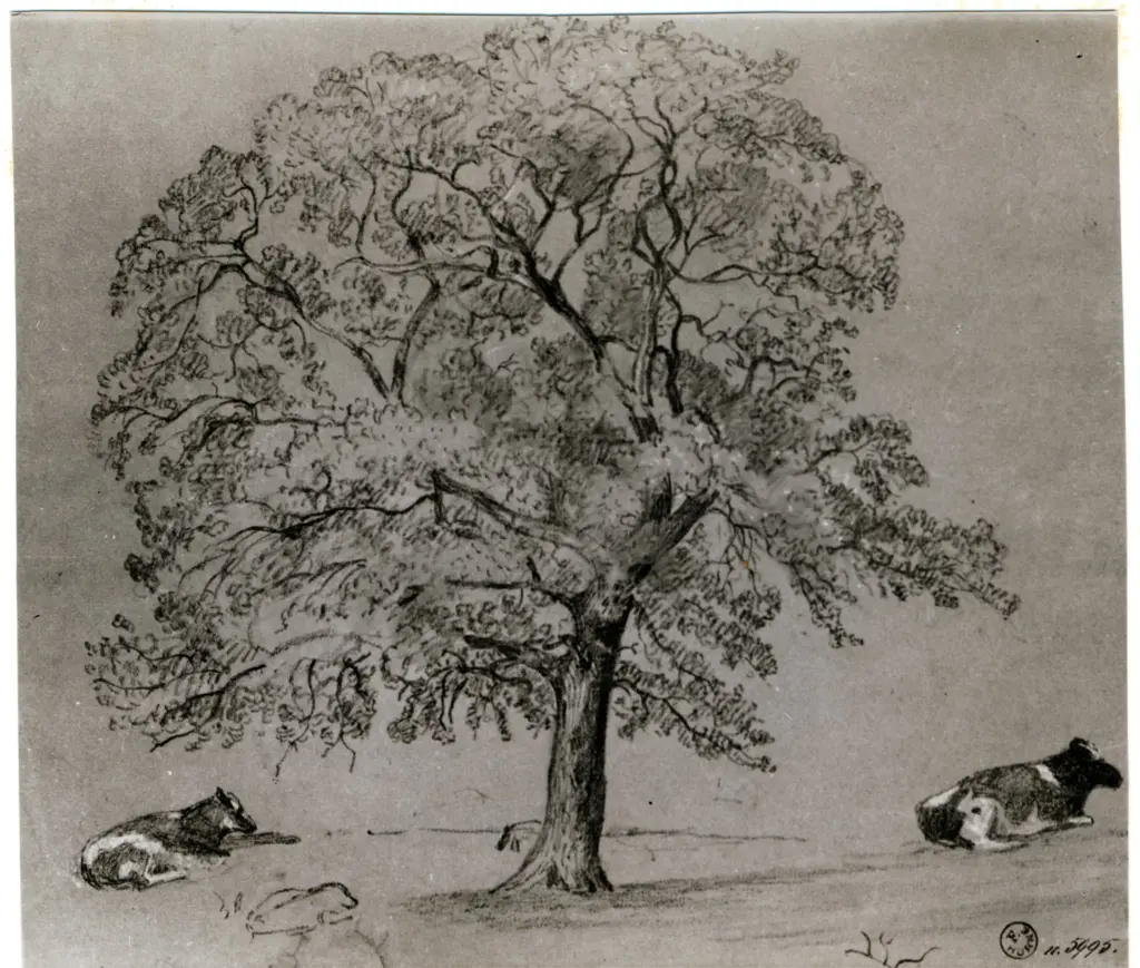 Anonimo, Anonimo , fronte