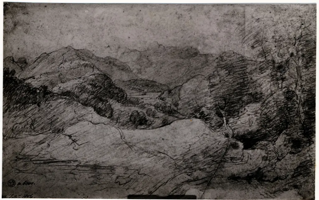 Anonimo, Anonimo , fronte