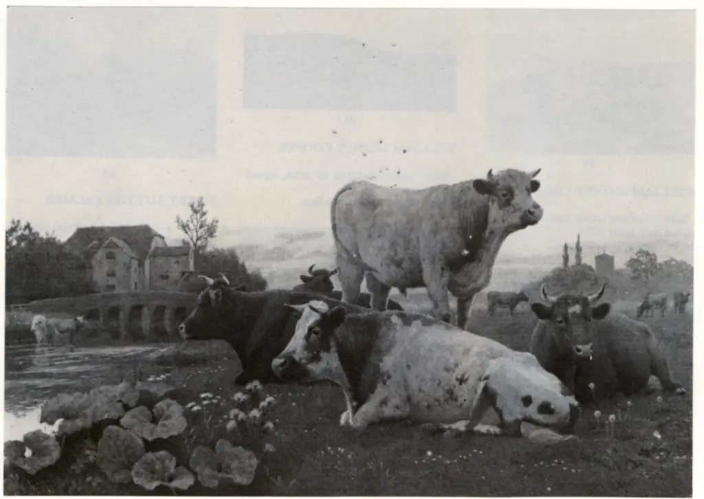 Anonimo , Cooper, Thomas Sidney - sec. XIX - In the Meadows at Canterbury , fronte
