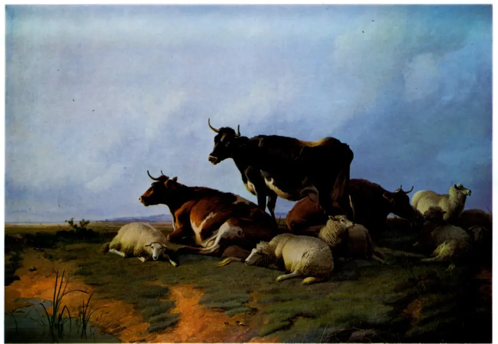 Anonimo , Cooper, Thomas Sidney - sec. XIX - Canterbury Meadows , fronte