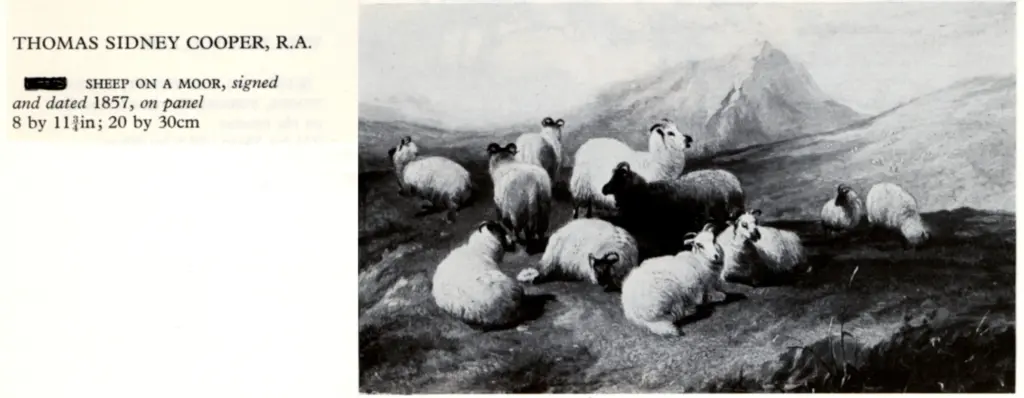 Anonimo , Cooper, Thomas Sidney - sec. XIX - Sheep on a Moor , fronte