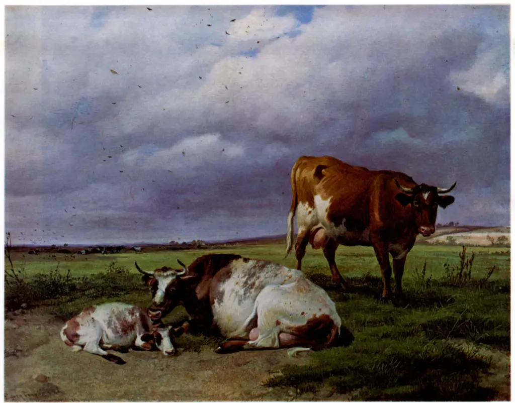 Anonimo , Cooper, Thomas Sidney - sec. XIX - In the Meadows, Fordwych, near Canterbury , fronte