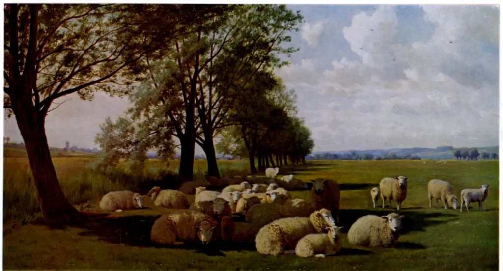 Anonimo , Cooper, William Sidney - sec. XX - A Meadow , fronte