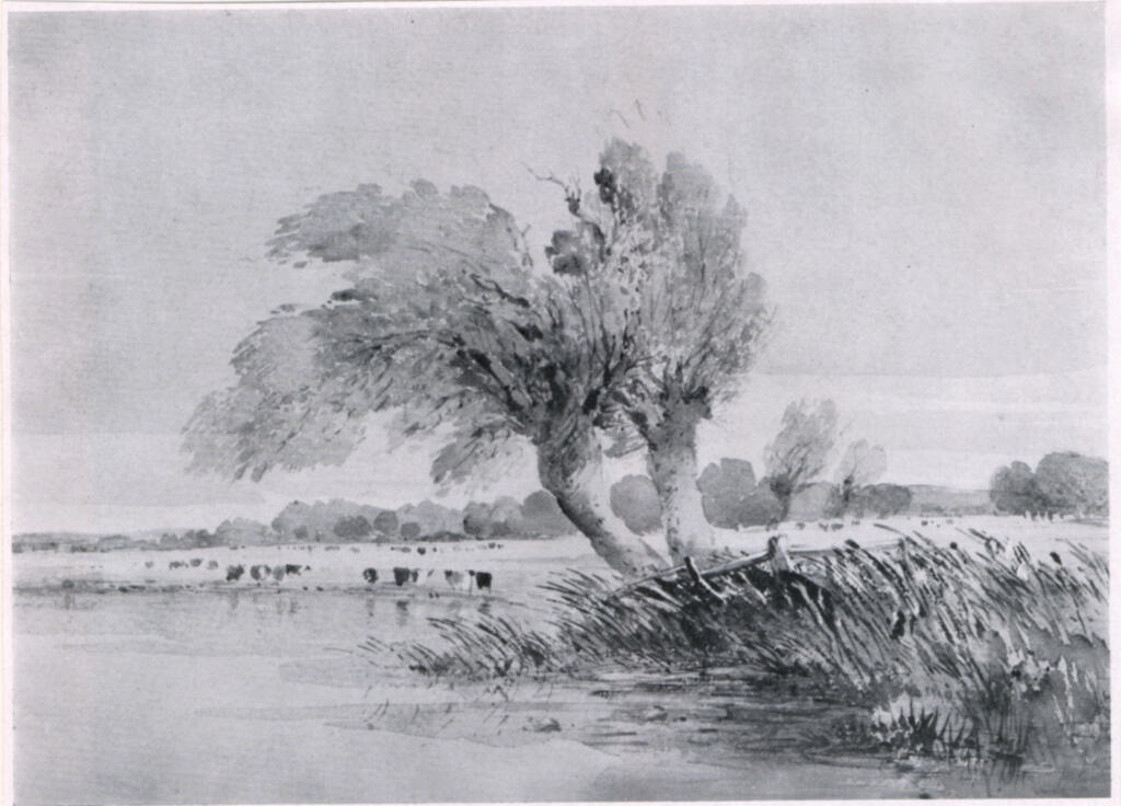 Anonimo , Cotman, John Sell , fronte