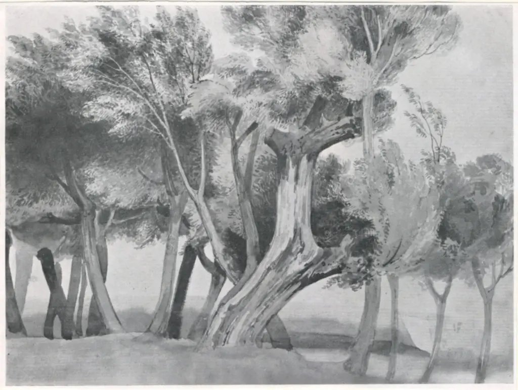 Cotman, John Sell , A group of Trees by an Estuary