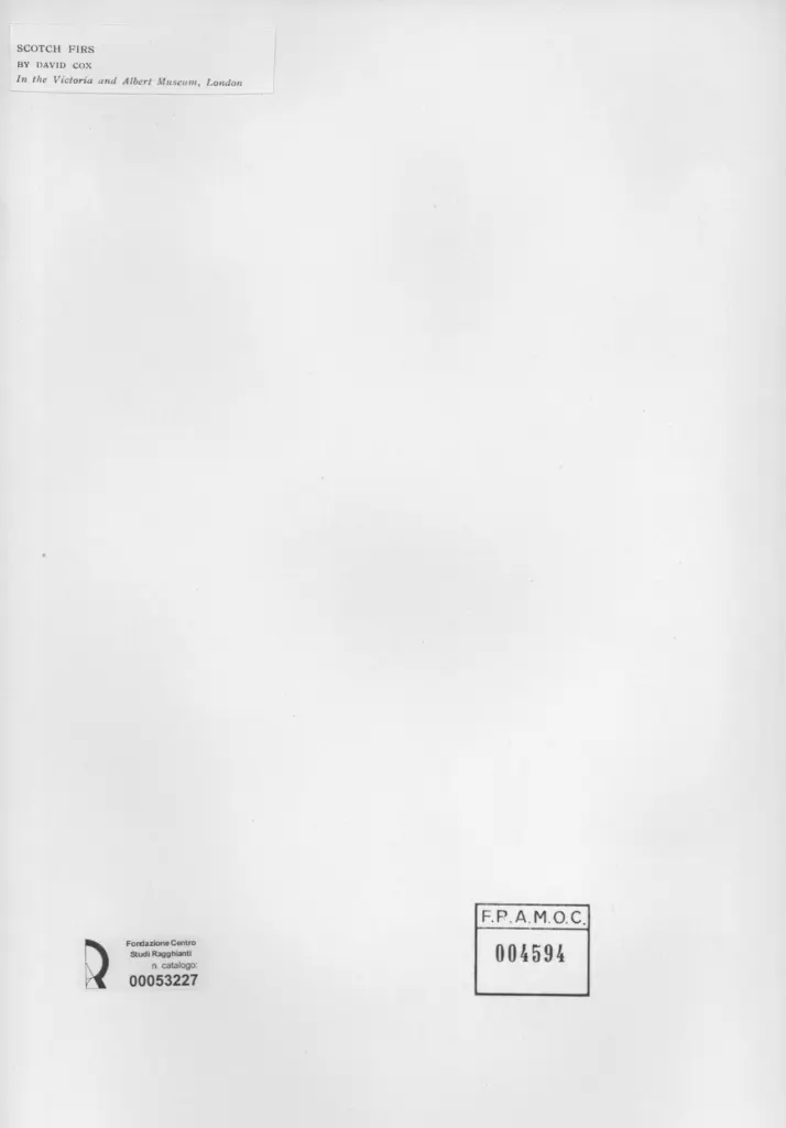 Anonimo , Cox, David - Scotch Firs , retro