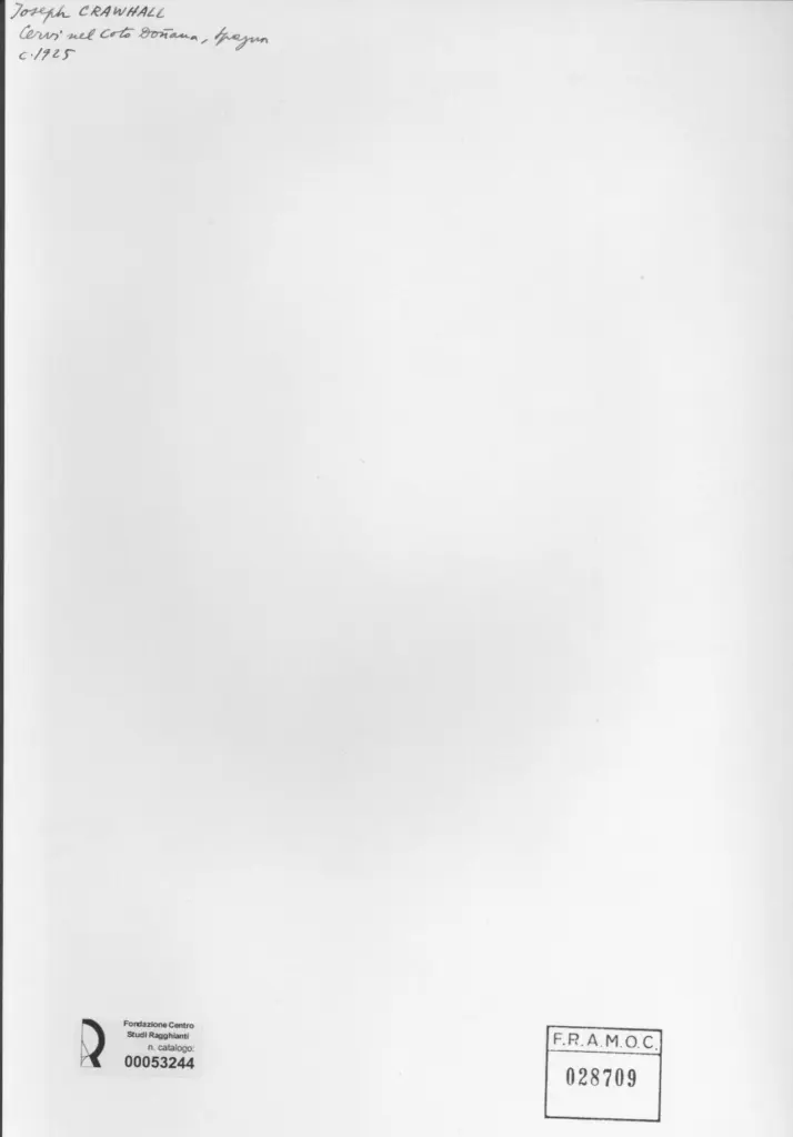 Anonimo , Crawhall, Joseph - sec. XX - Cervi , retro